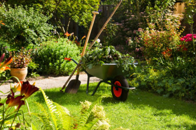 Entretien du jardin