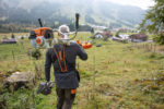 Débroussailleuse coupe bordure Stihl thermique, électrique batterie