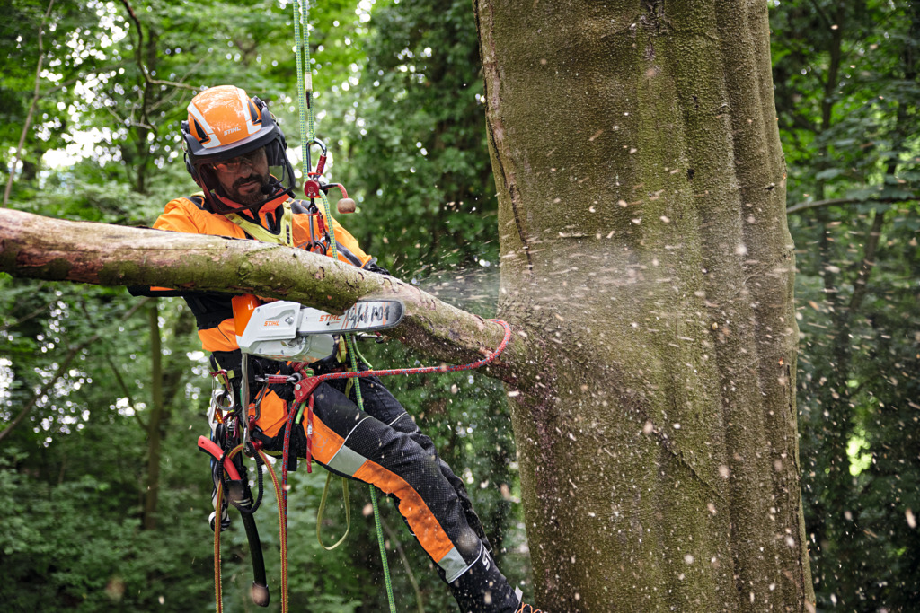 Tronçonneuse d'élagage à batterie MSA220T STIHL